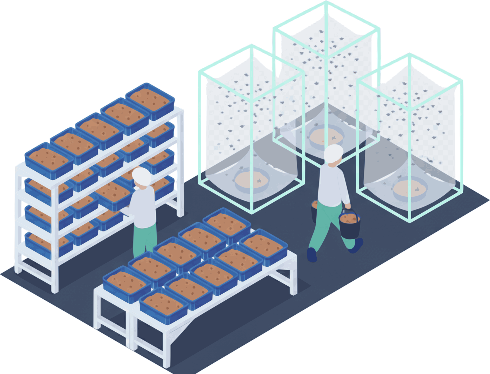 Representación isométrica de una planta de biotransformación y reproducción de larvas de mosca soldado negro.