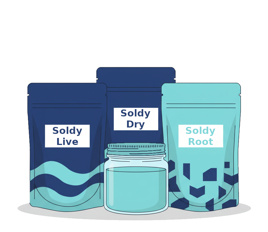 Ilustración de bolsas pouch y frasco con tapa, representando productos de CÍCCLICA