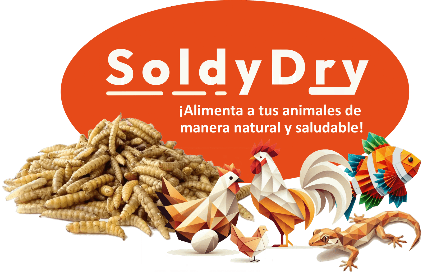 Logo ovalado de SoldyDry, alimento seco y saludable para aves y peces.