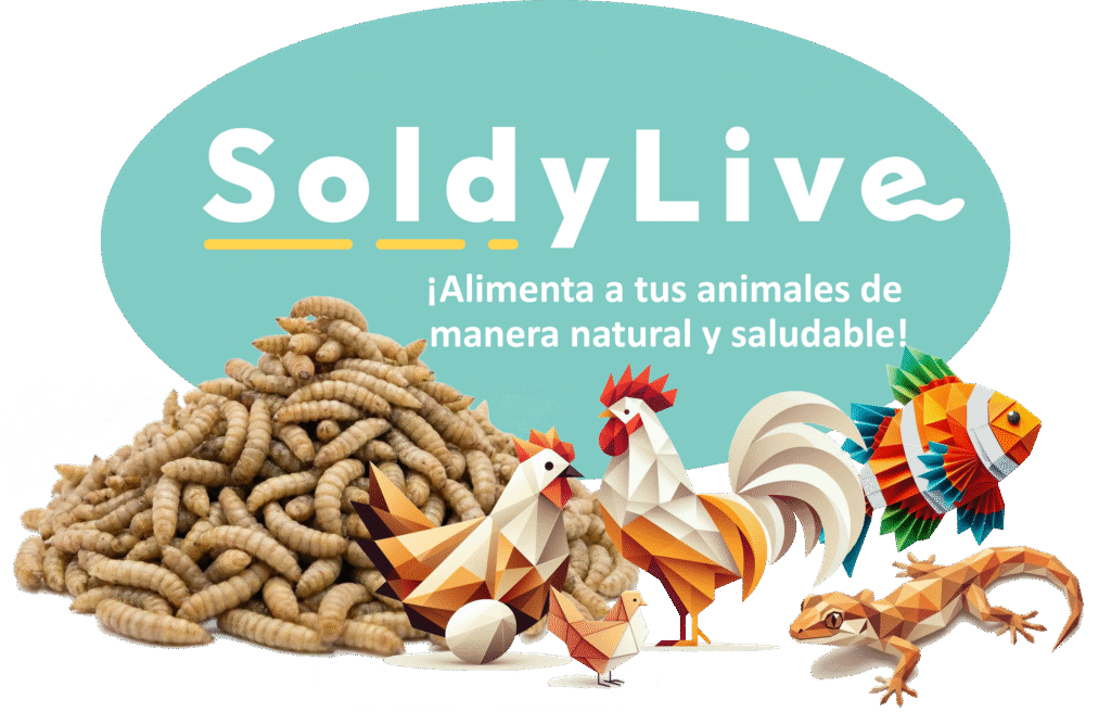 Logo ovalado de SoldyLive, alimento vivo y saludable para aves y peces.