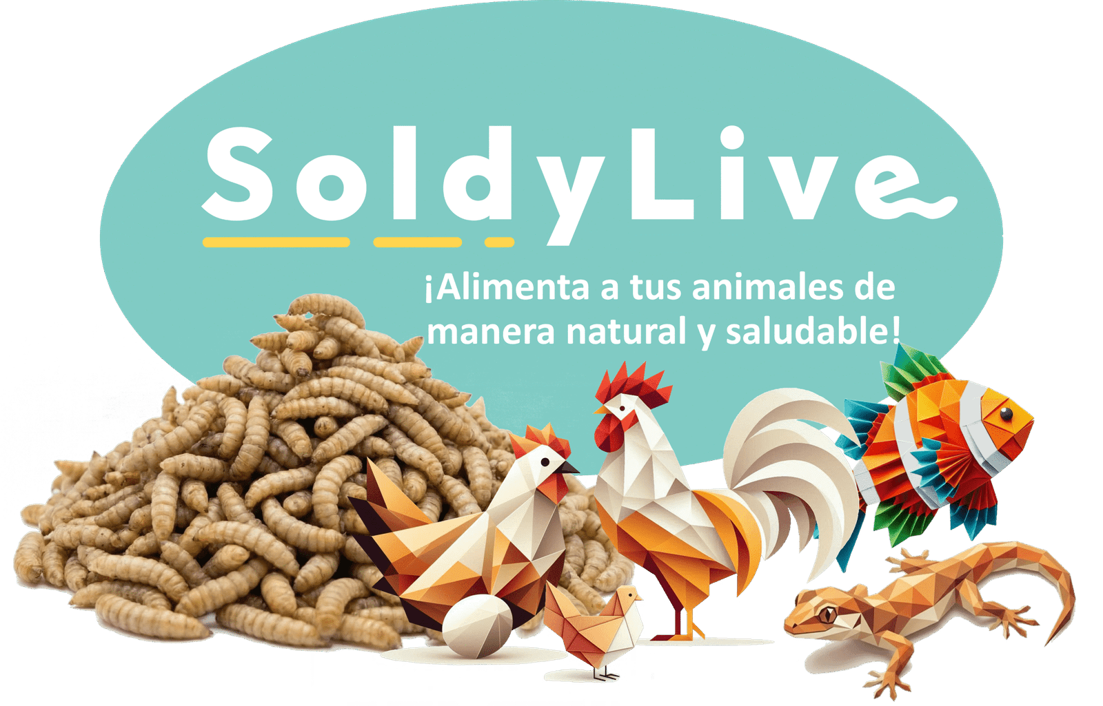 Logo ovalado de SoldyLive, alimento vivo y saludable para aves y peces.