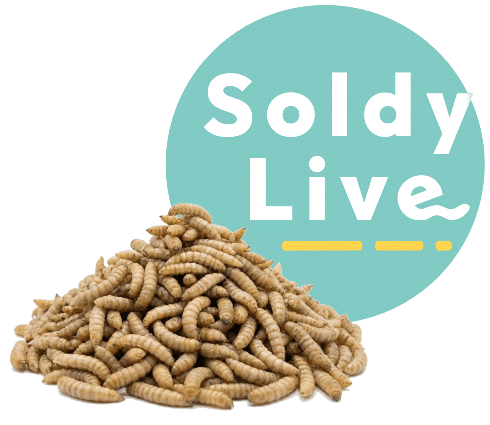 Logo circular de SoldyLive, alimento vivo y saludable para aves y peces.
